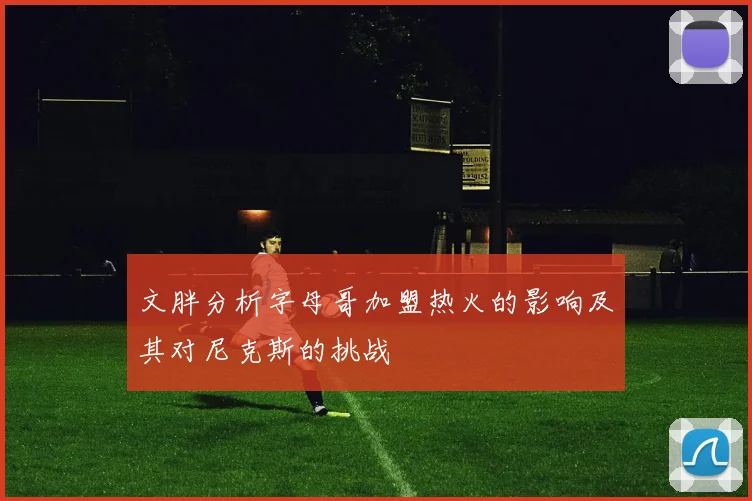 文胖分析字母哥加盟热火的影响及其对尼克斯的挑战