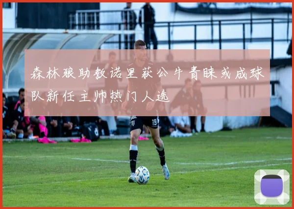 森林狼助教诺里获公牛青睐或成球队新任主帅热门人选
